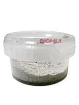 Натуральная маска-скраб из морских ракушек "Tunfit"